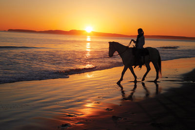 Glorious Coastal Getaways: Point Reyes, Santa Cruz, and Carmel-by-the-Sea
